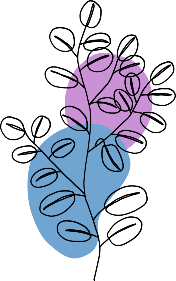 simplicité feuille d'eucalyptus dessin au trait continu à main levée dessin plat. png