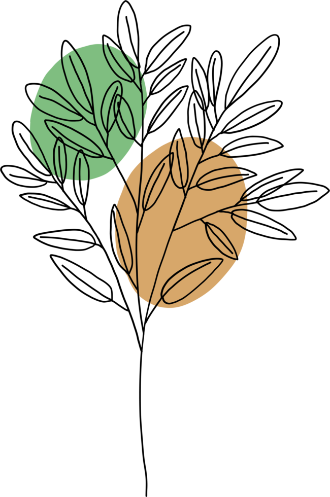 simplicity eucalyptus leaf freehand continuous line drawing flat design. png