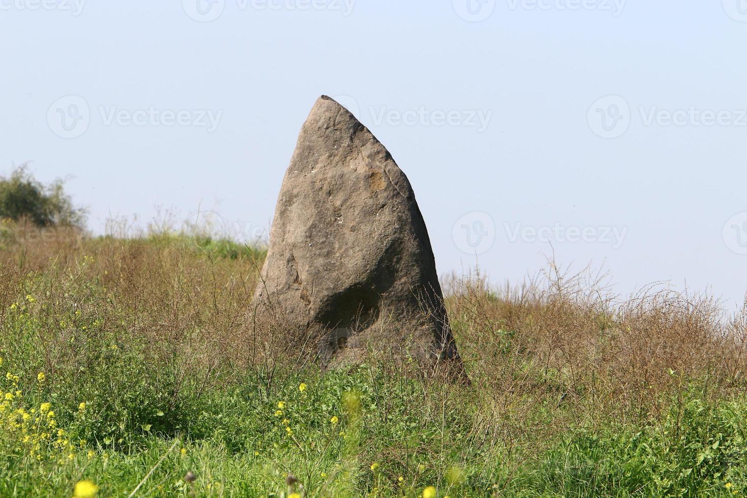 Stones in a city park by the sea in northern Israel photo