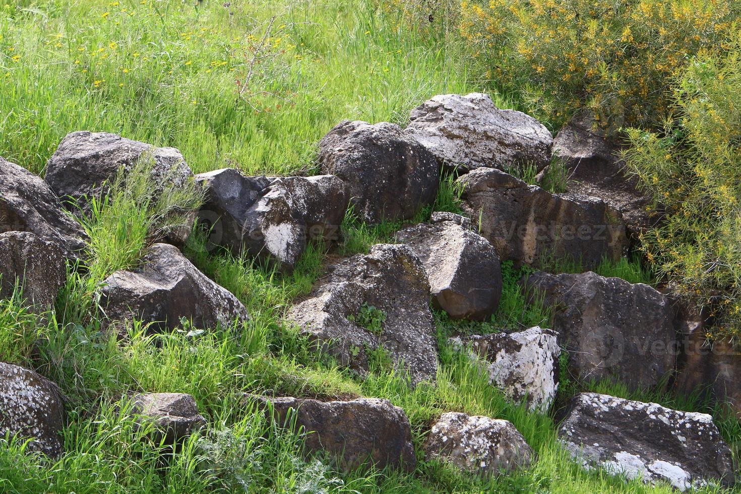 Stones in a city park by the sea in northern Israel photo