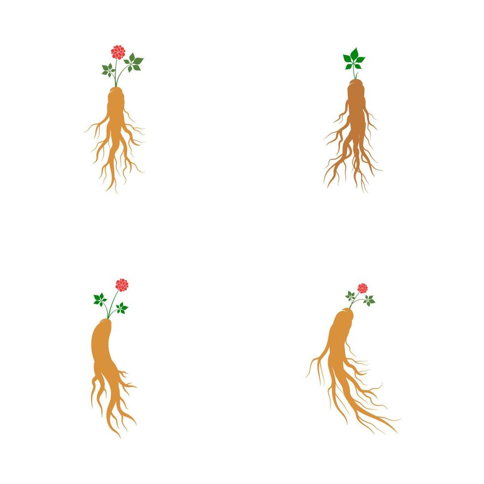 ilustración de icono de vector de ginseng