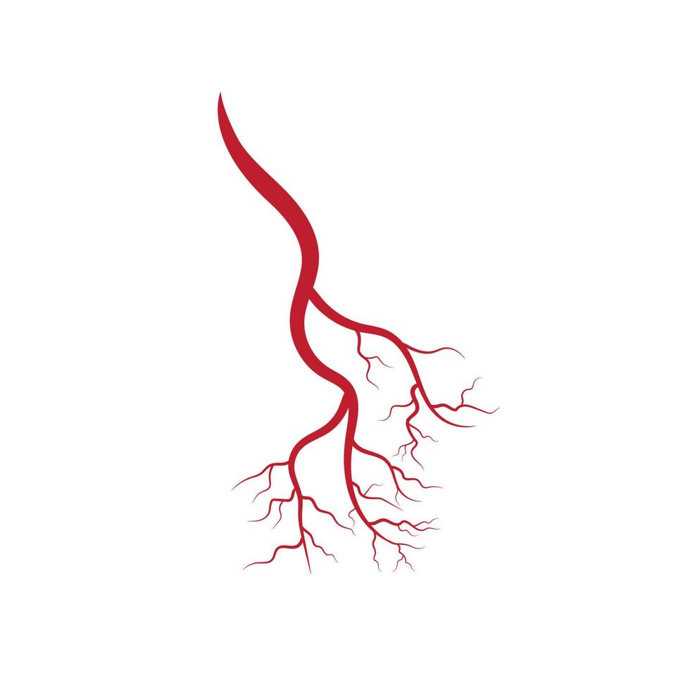 ilustración de venas y arterias humanas vector