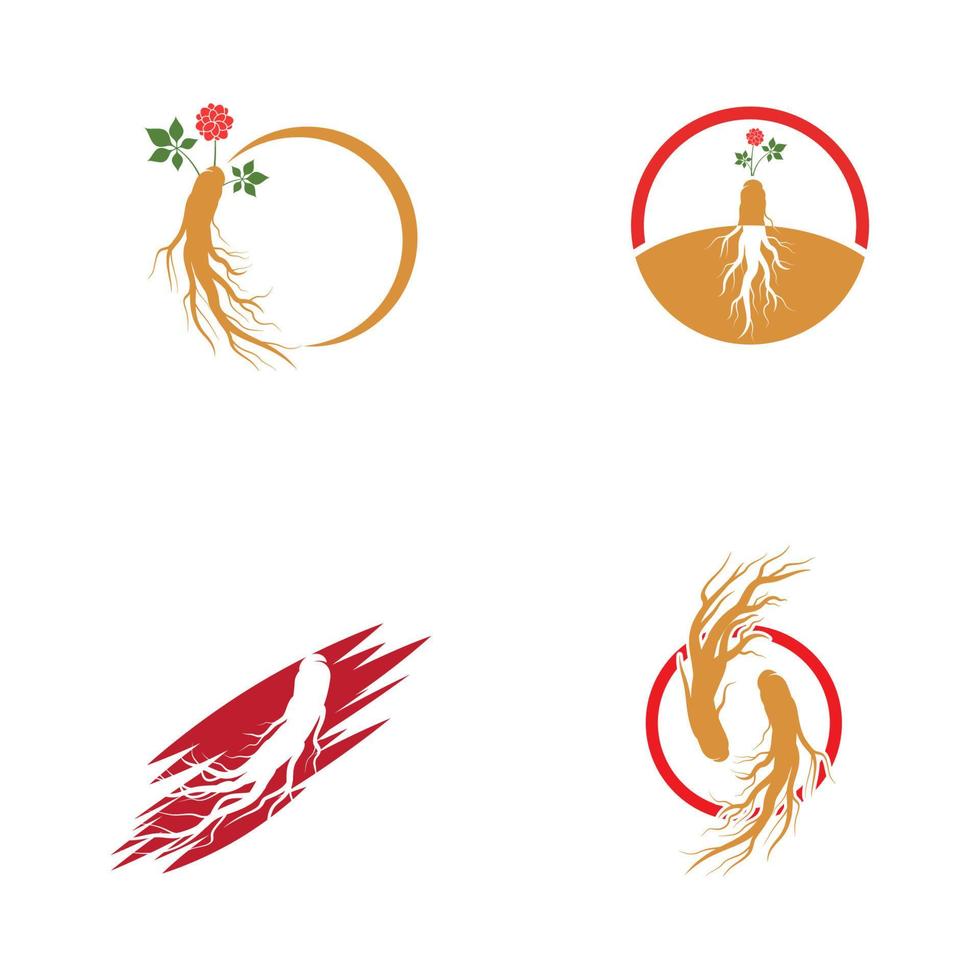 Ginseng vector icon illustration