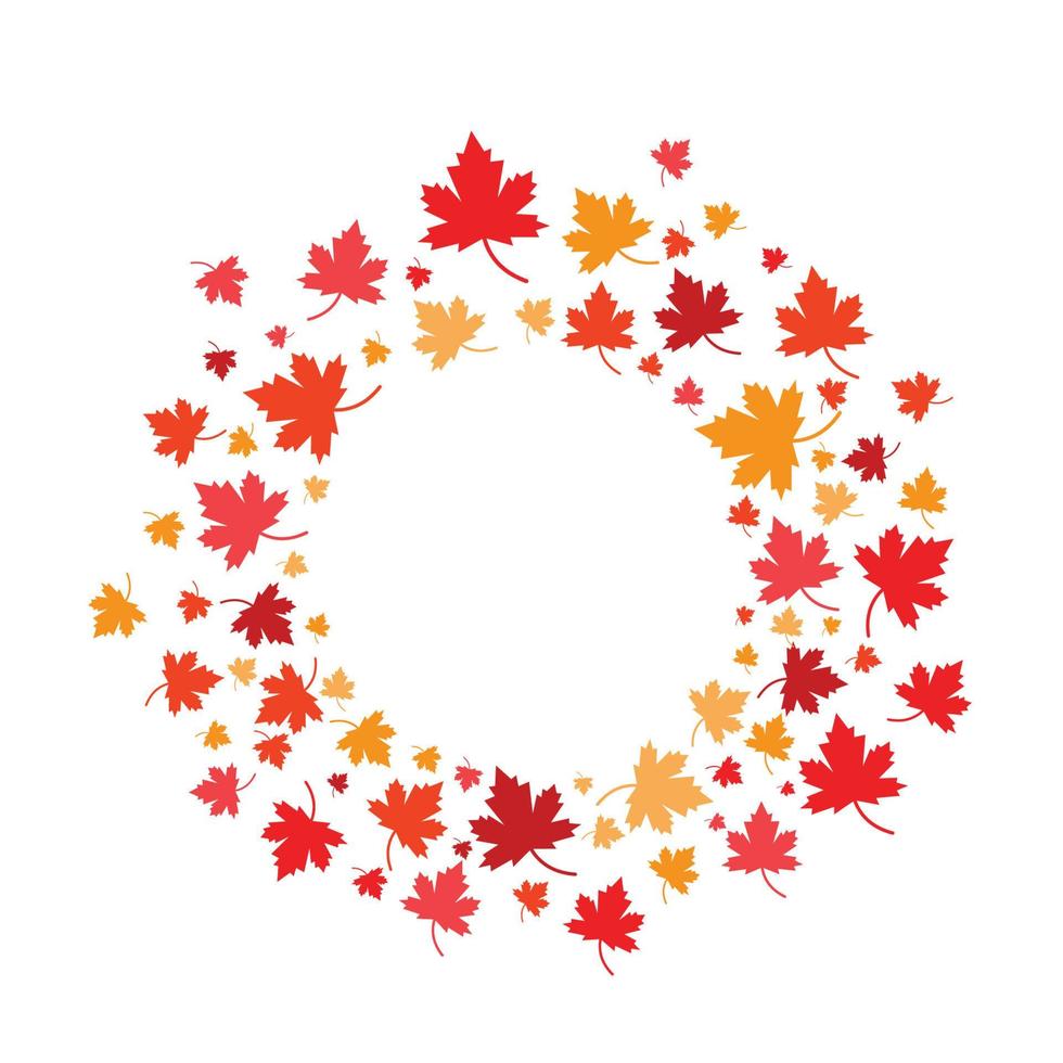 Autumn leaves maple vector