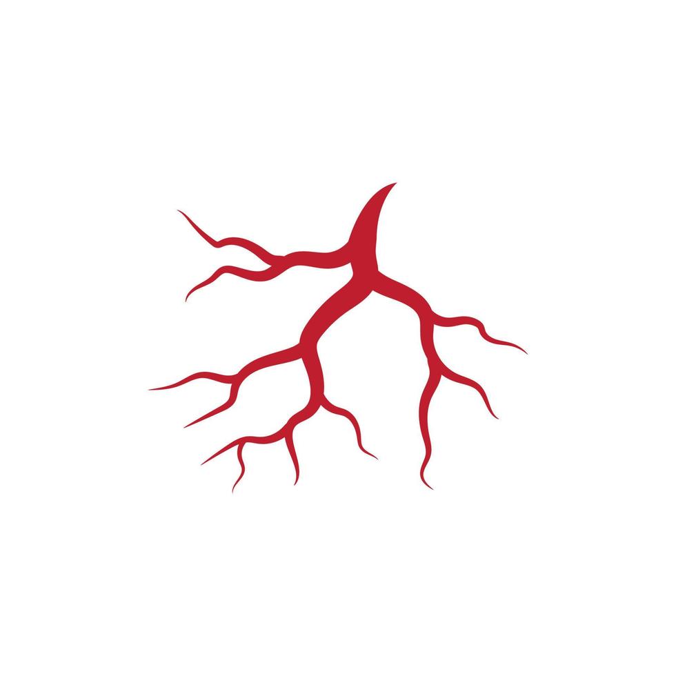 Human veins and arteries illustration vector