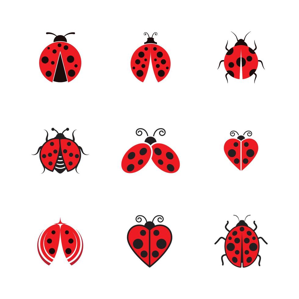 Beauty bug vector illustration icon