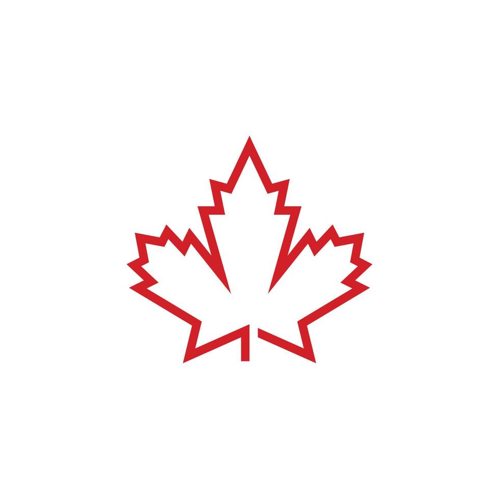 Maple leaf vector illustration