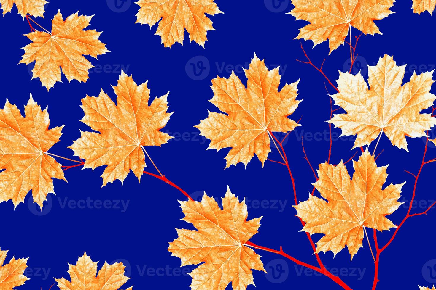 autumn landscape with bright colorful foliage. Indian summer. photo