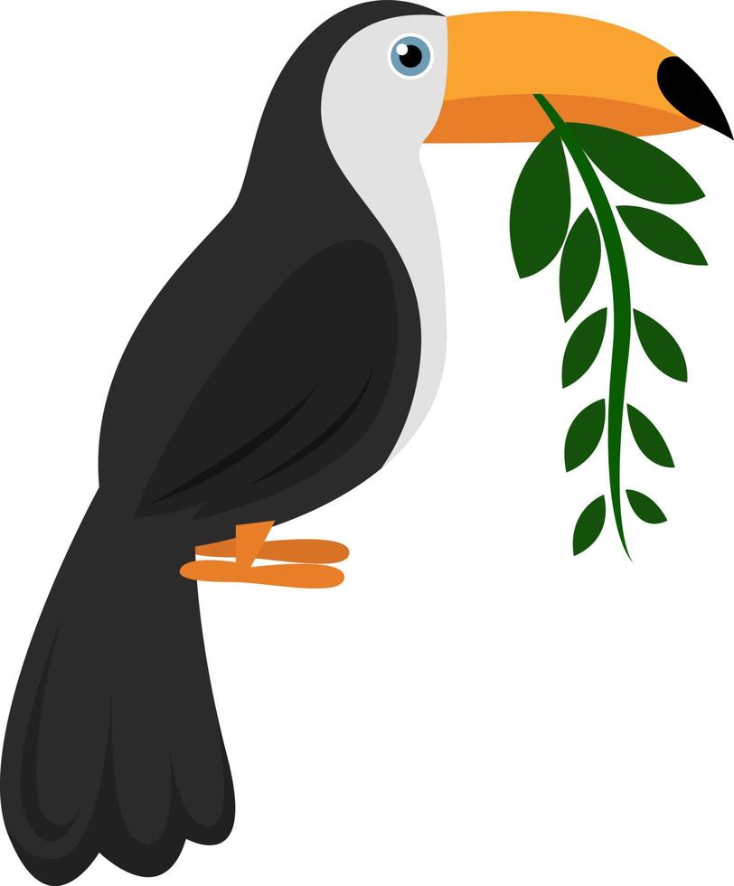 Big toucan, illustration, vector on white background