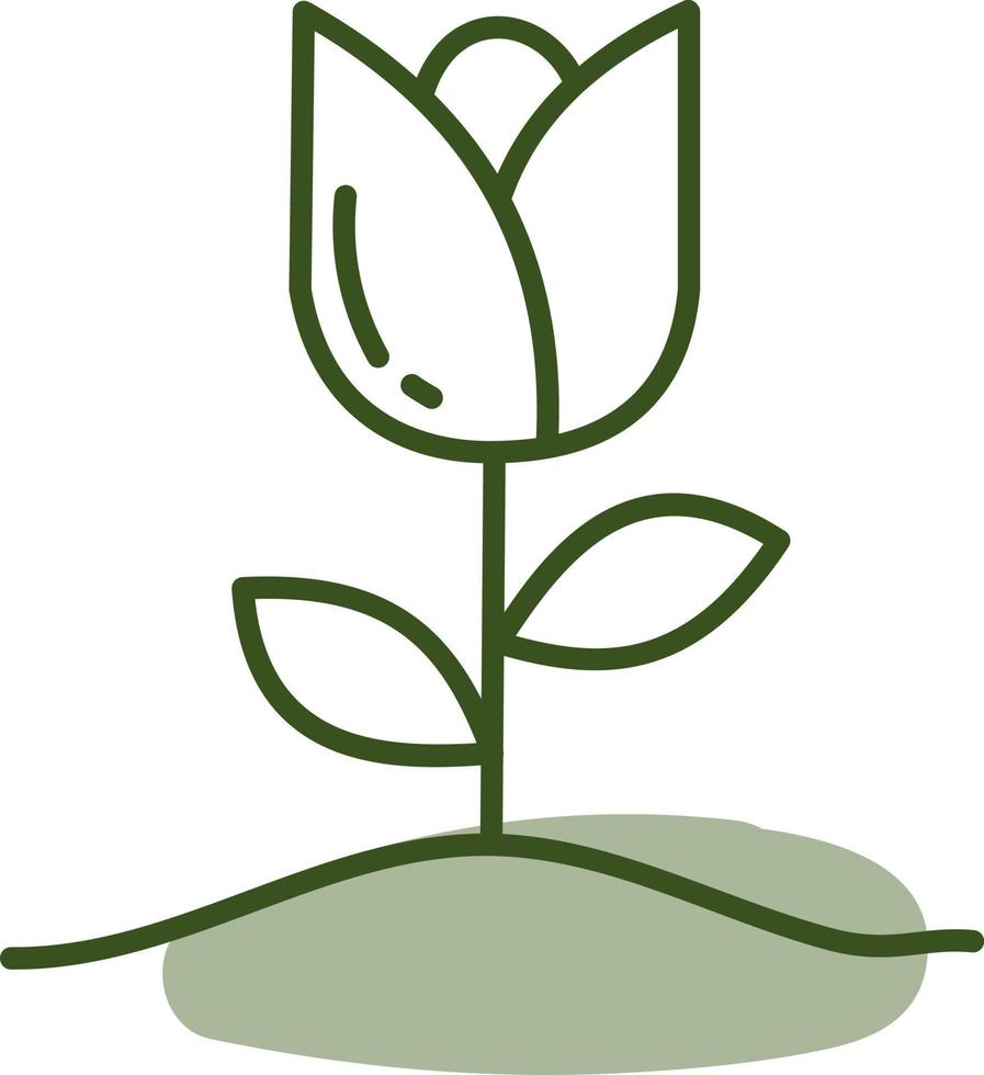 Garden rose, illustration, vector on a white background.