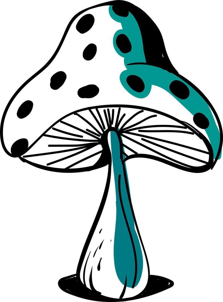 Drawing of a mushroom, illustration, vector on white background.