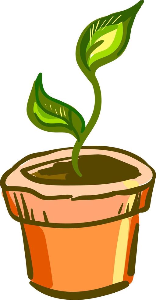 Plant in an orange pot, vector or color illustration.