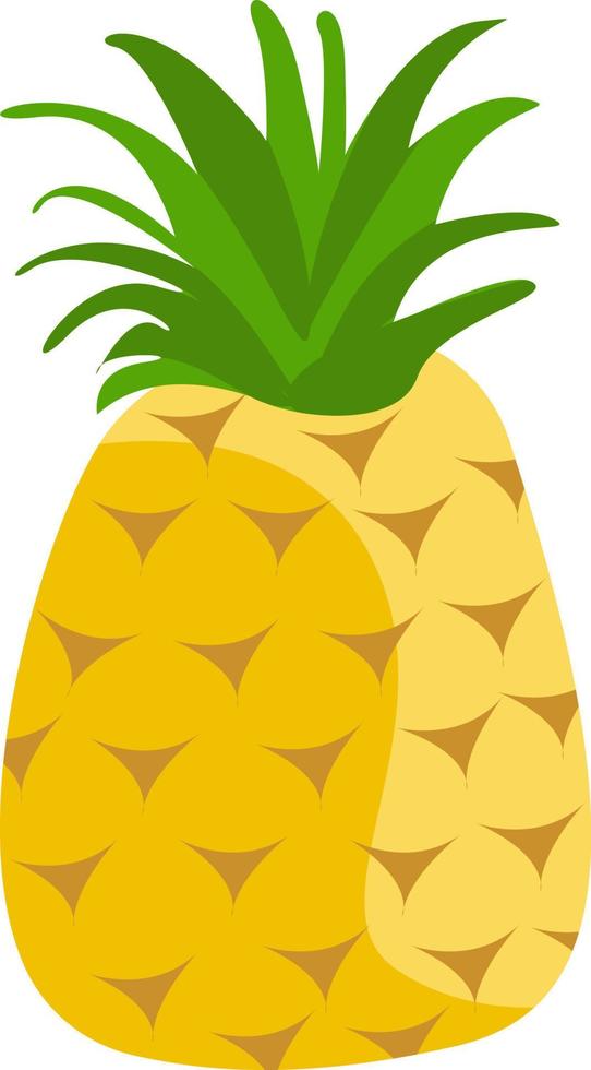 Delicious pineapple, illustration, vector on white background