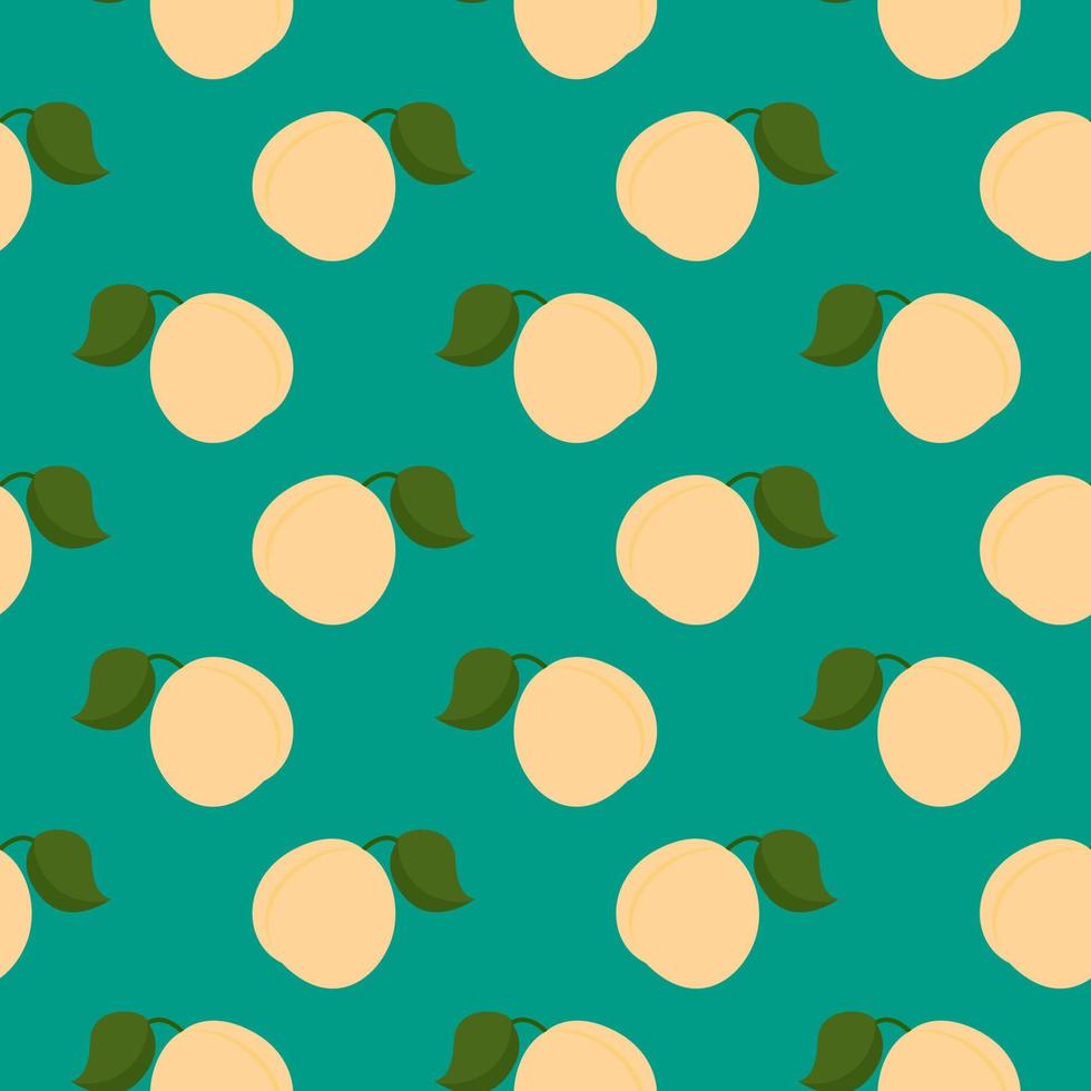 Apricot fruit , seamless pattern on a green background. vector