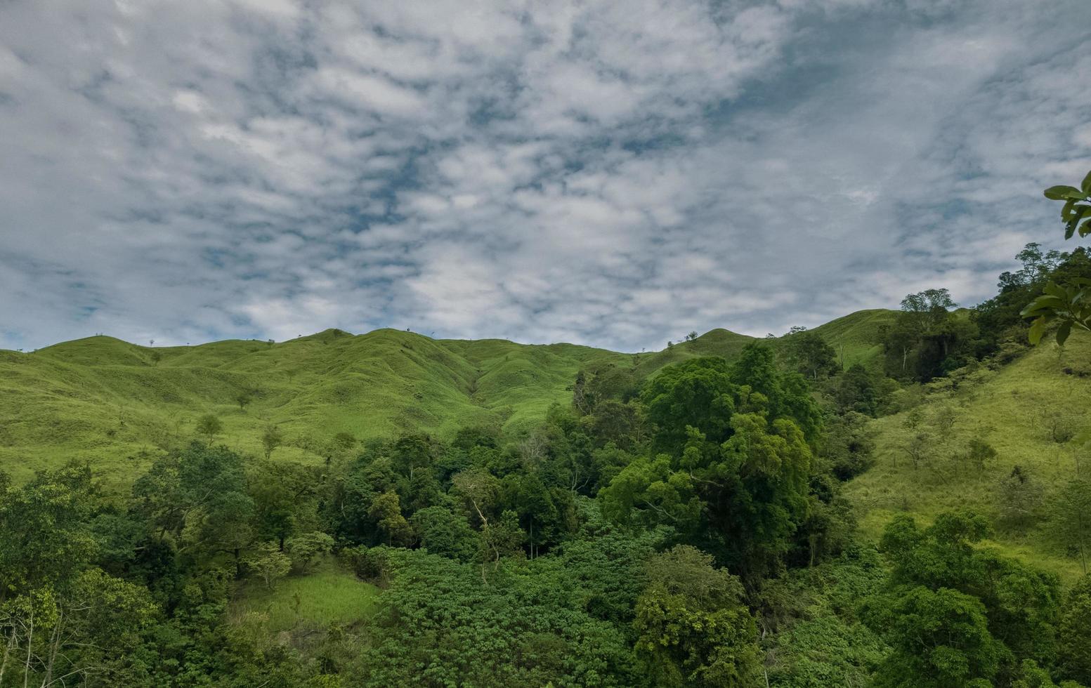 A shady forest with meadow hills and a very beautiful cloud background photo