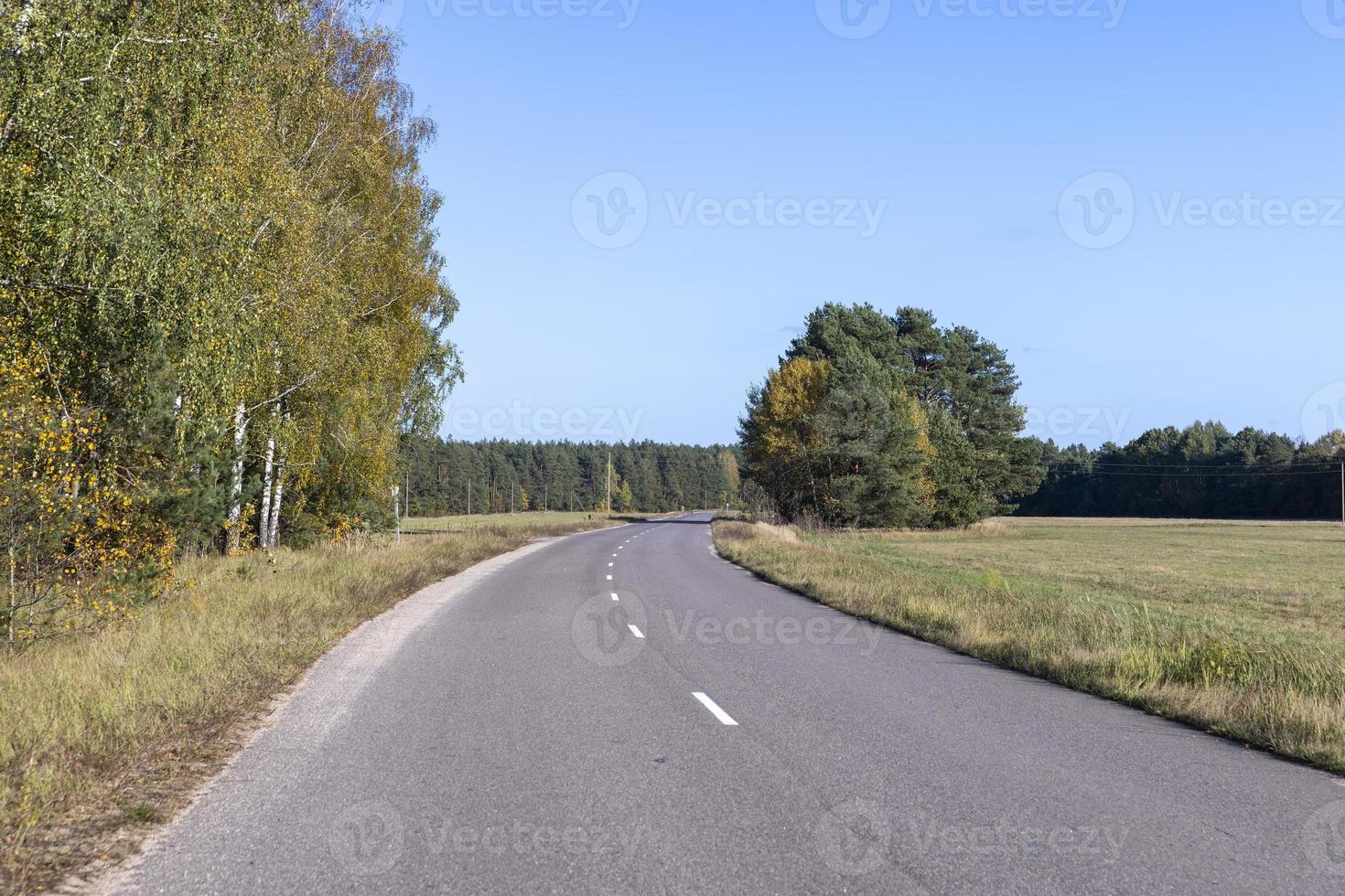 Paved road in the autumn season in sunny weather photo
