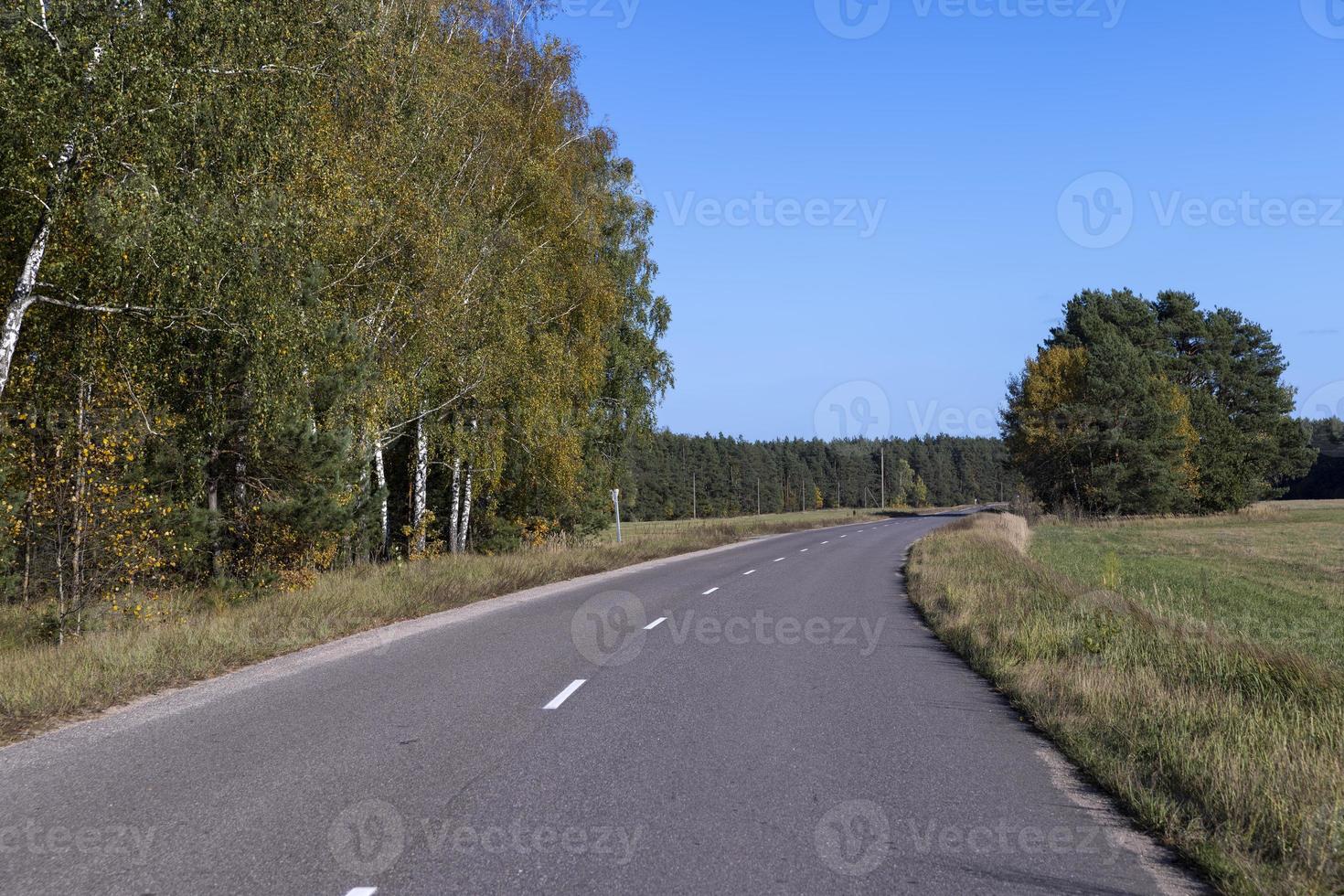 Paved road in the autumn season in sunny weather photo