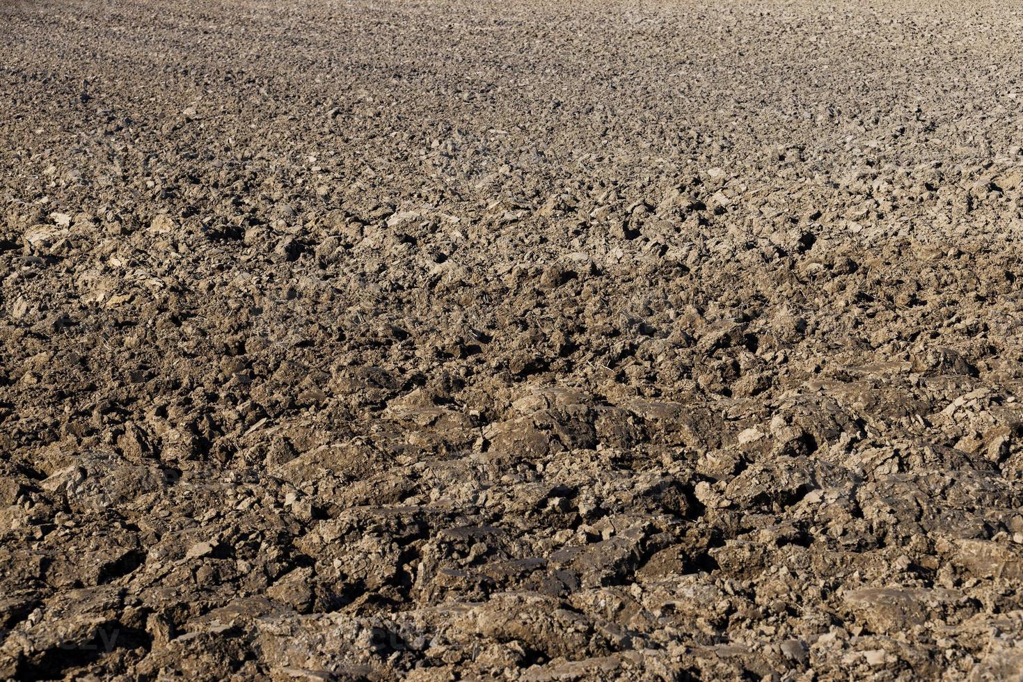 Preparation of soil for sowing plants photo