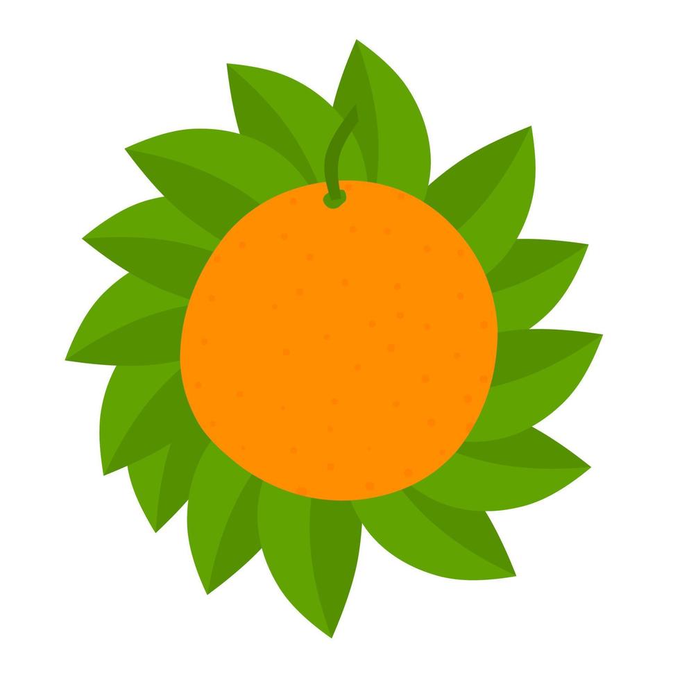 Mandarin orange with leaves coiled at the back. Ripe citrus fruits are yellow with green stems. Perfect for, invitation cards, juice drink logos and fresh fruit posters. Vector illustration