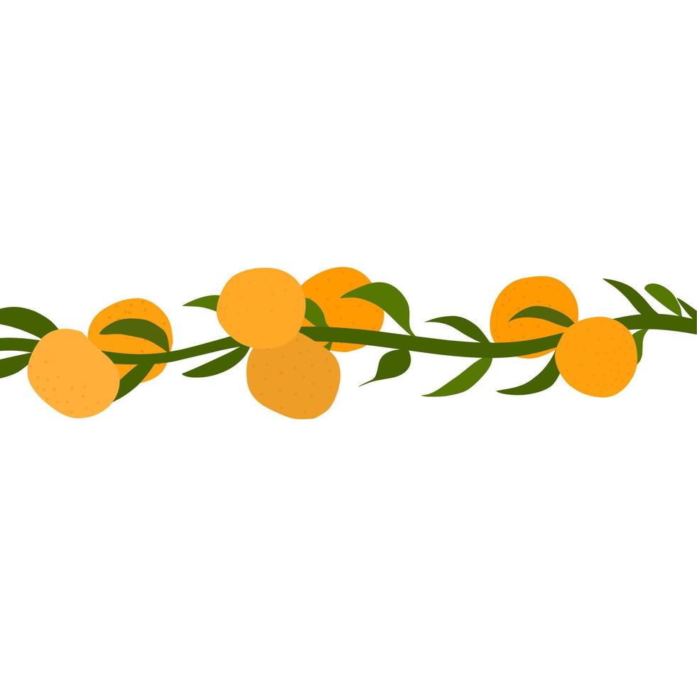 Vector branch of mandarin orange vines on white background. Fresh ripe oranges are yellow with green petioles. Great for fruit juice logos, posters, web logos.