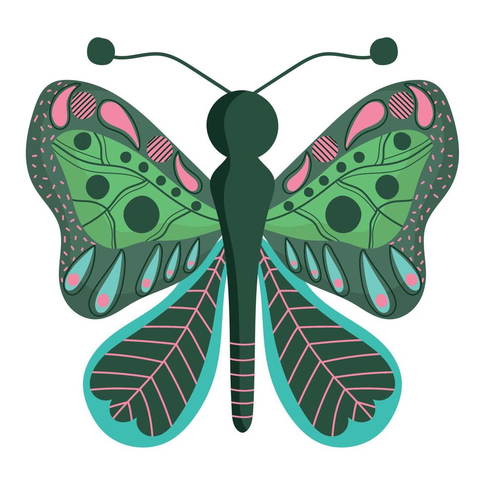 butterfly with open wings insect animal, decorative wings on white background vector