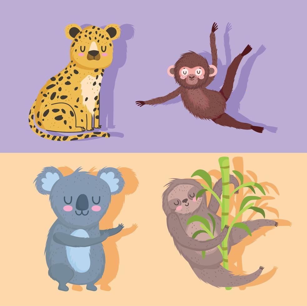 perezoso leopardo koala y mono animal safari dibujos animados vector