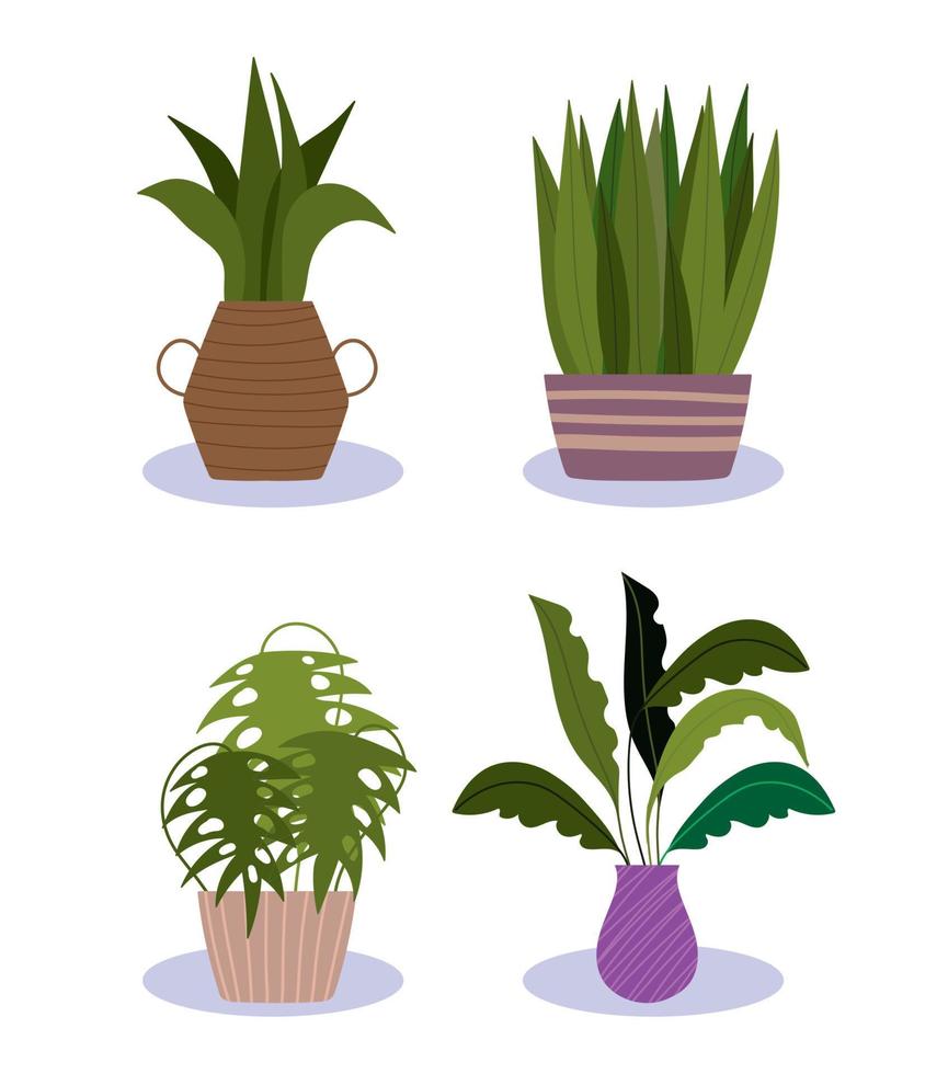 macetas plantas follaje decoración interior ornamento diseño iconos vector