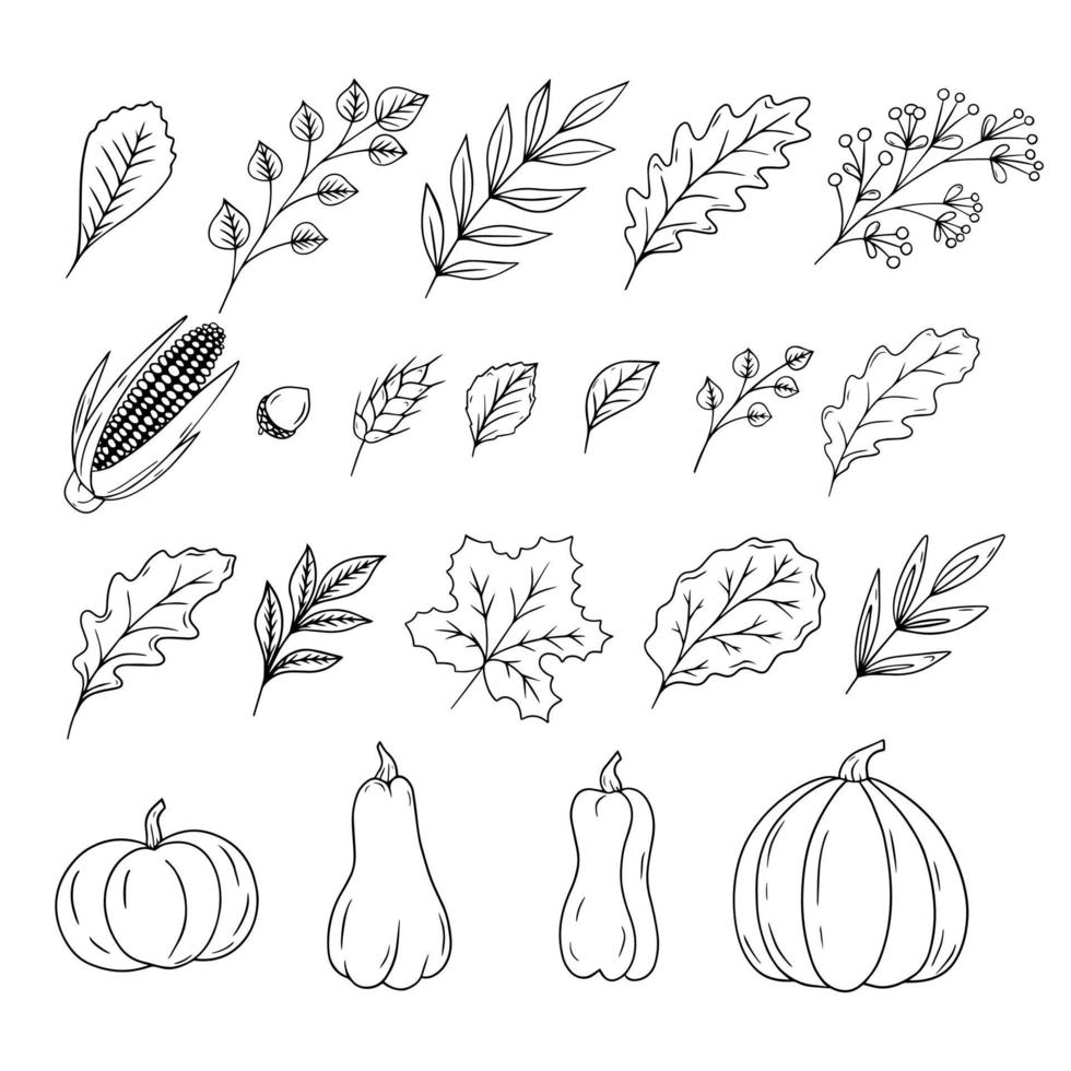colección dibujada a mano de objetos de otoño aislada sobre fondo blanco. hojas, calabazas y maíz. conjunto de contornos de objetos de acción de gracias. vector