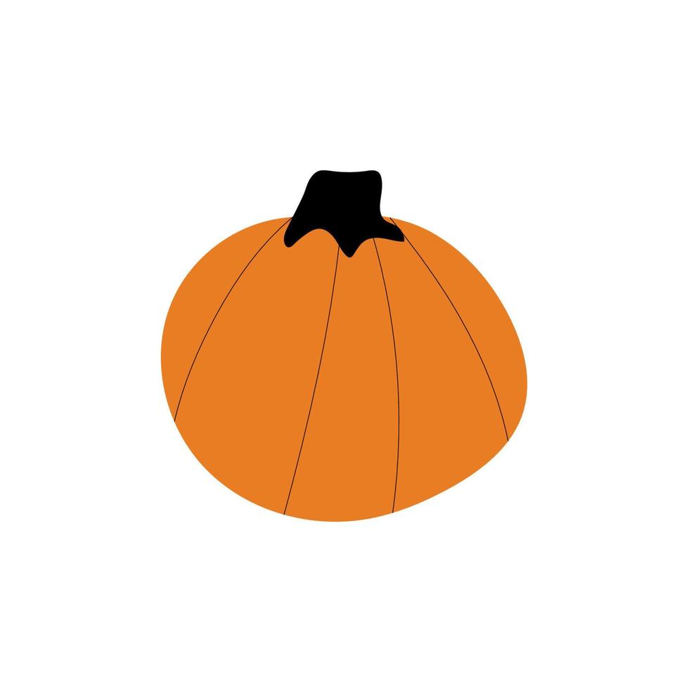 símbolo de agricultura de planta de calabaza de otoño. decoración de otoño comida fresca y saludable. vector