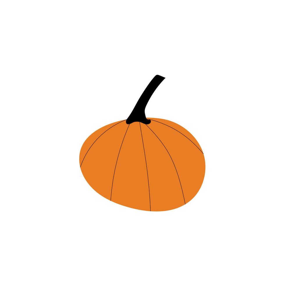 símbolo de agricultura de planta de calabaza de otoño. decoración de otoño comida fresca y saludable. vector