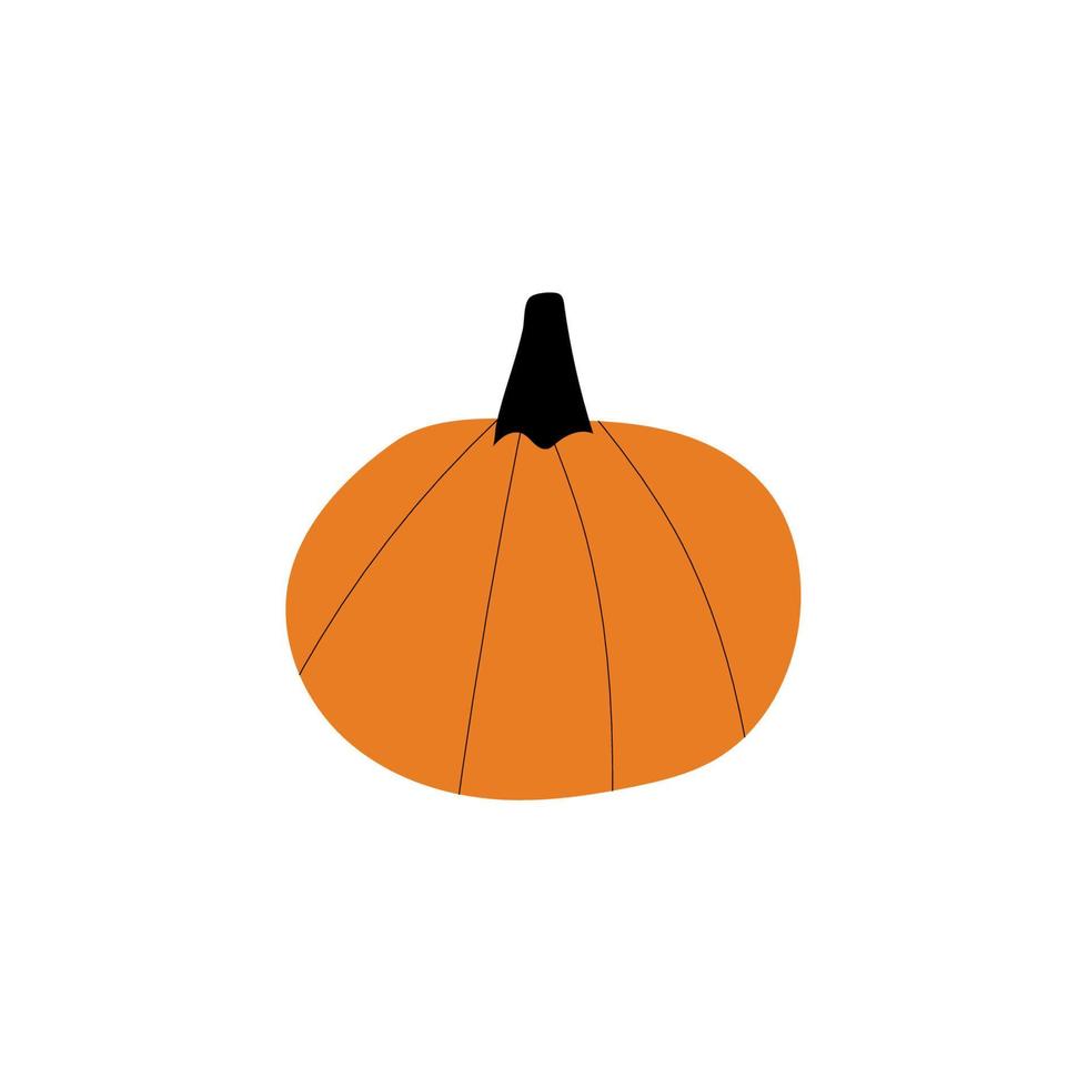 símbolo de agricultura de planta de calabaza de otoño. decoración de otoño comida fresca y saludable. vector