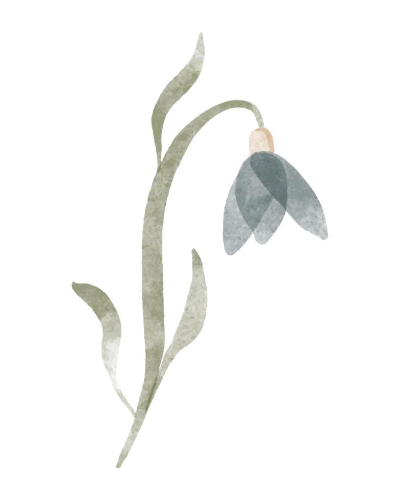 Watercolor trendy flower. Vector illustration for web, app and print. Elegant feminine shape floristic isolated snowdrop flower. Garden, botanical, minimalistic floral element.