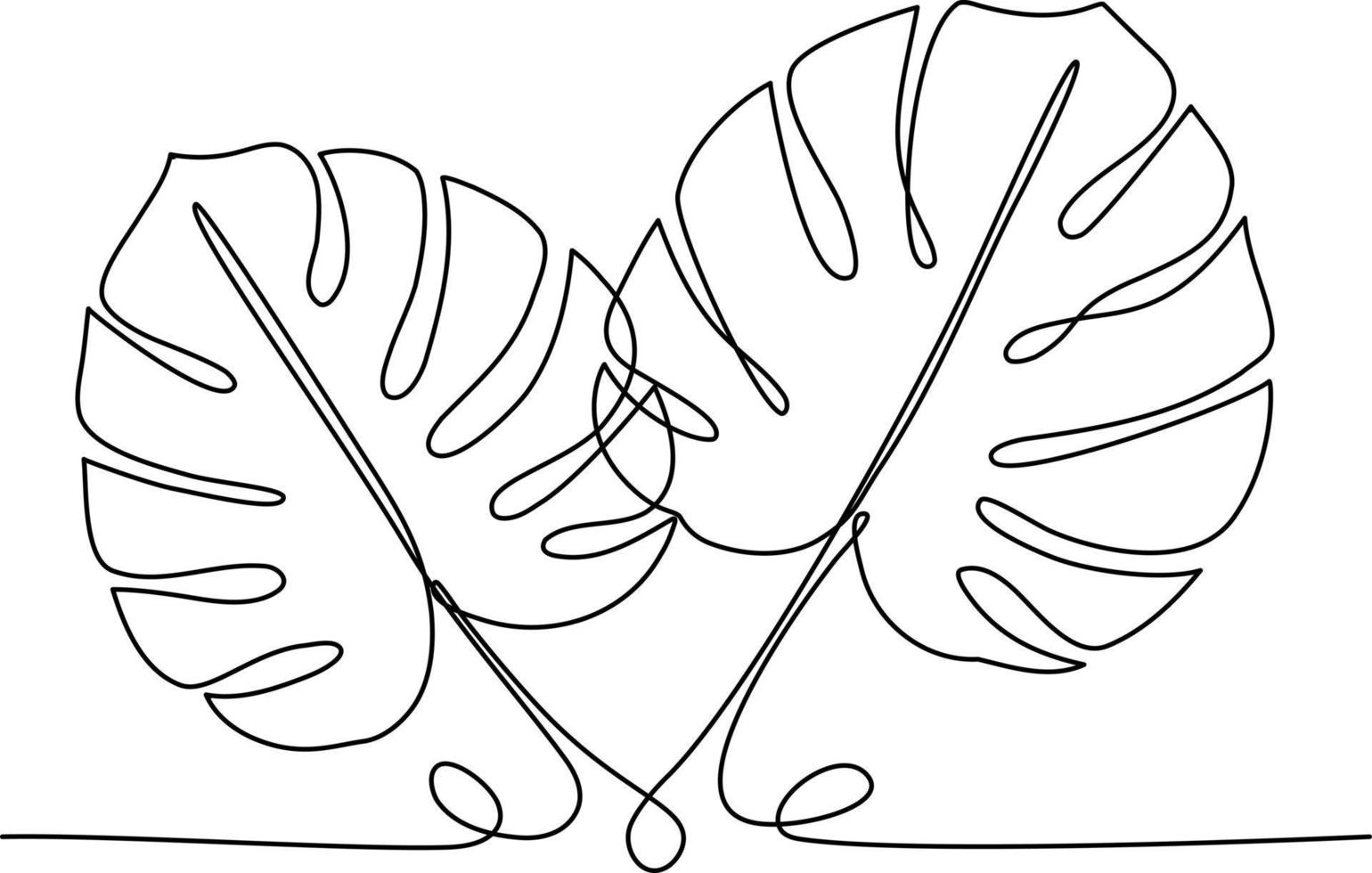 Monstera deliciosa continuous line drawing vector