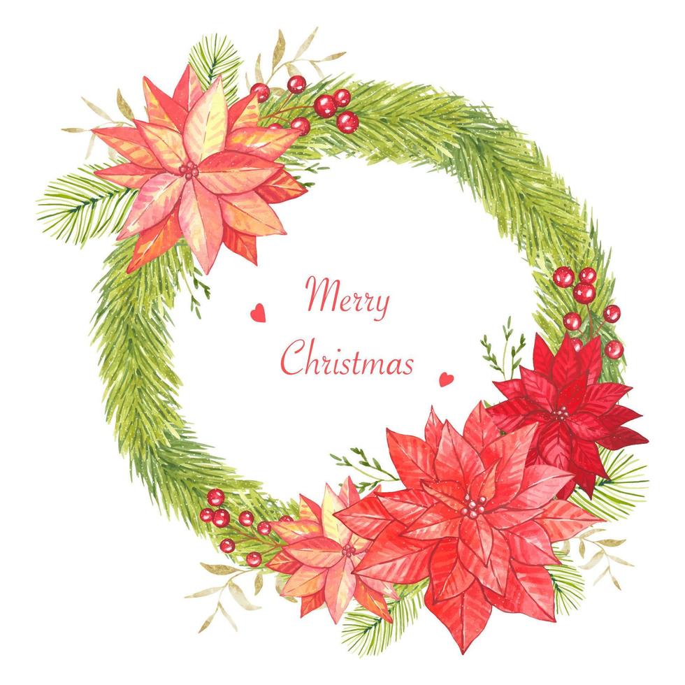 Christmas watercolor wreath with poinsettias and spruce branches vector