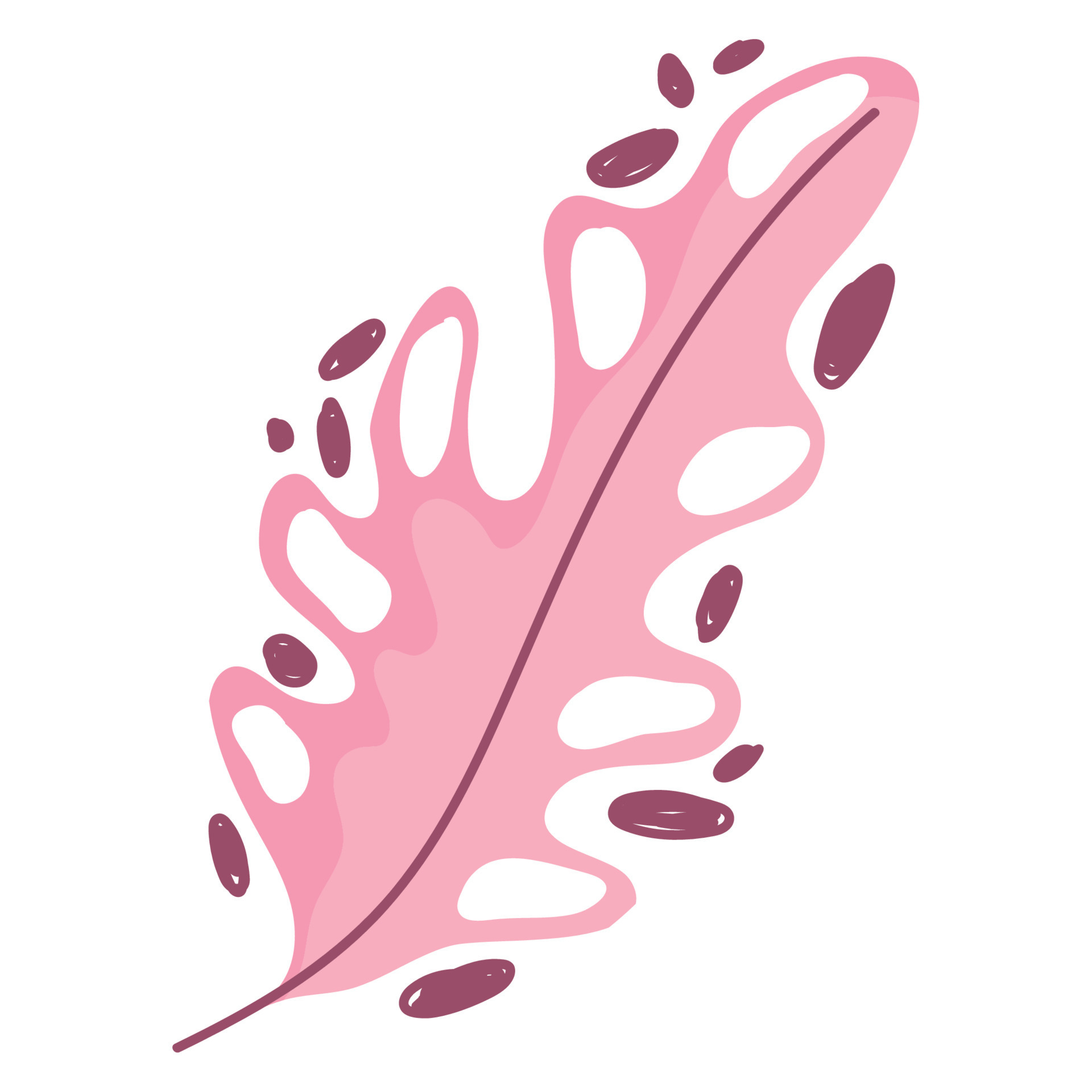pink leaf abstract foliage decoration icon on white background 13653234