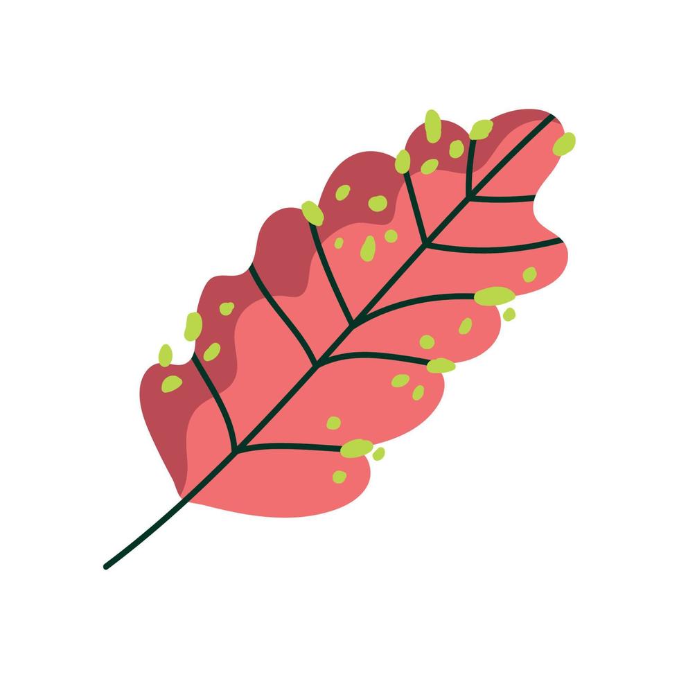 leaf nature foliage floral decoration icon on white background vector