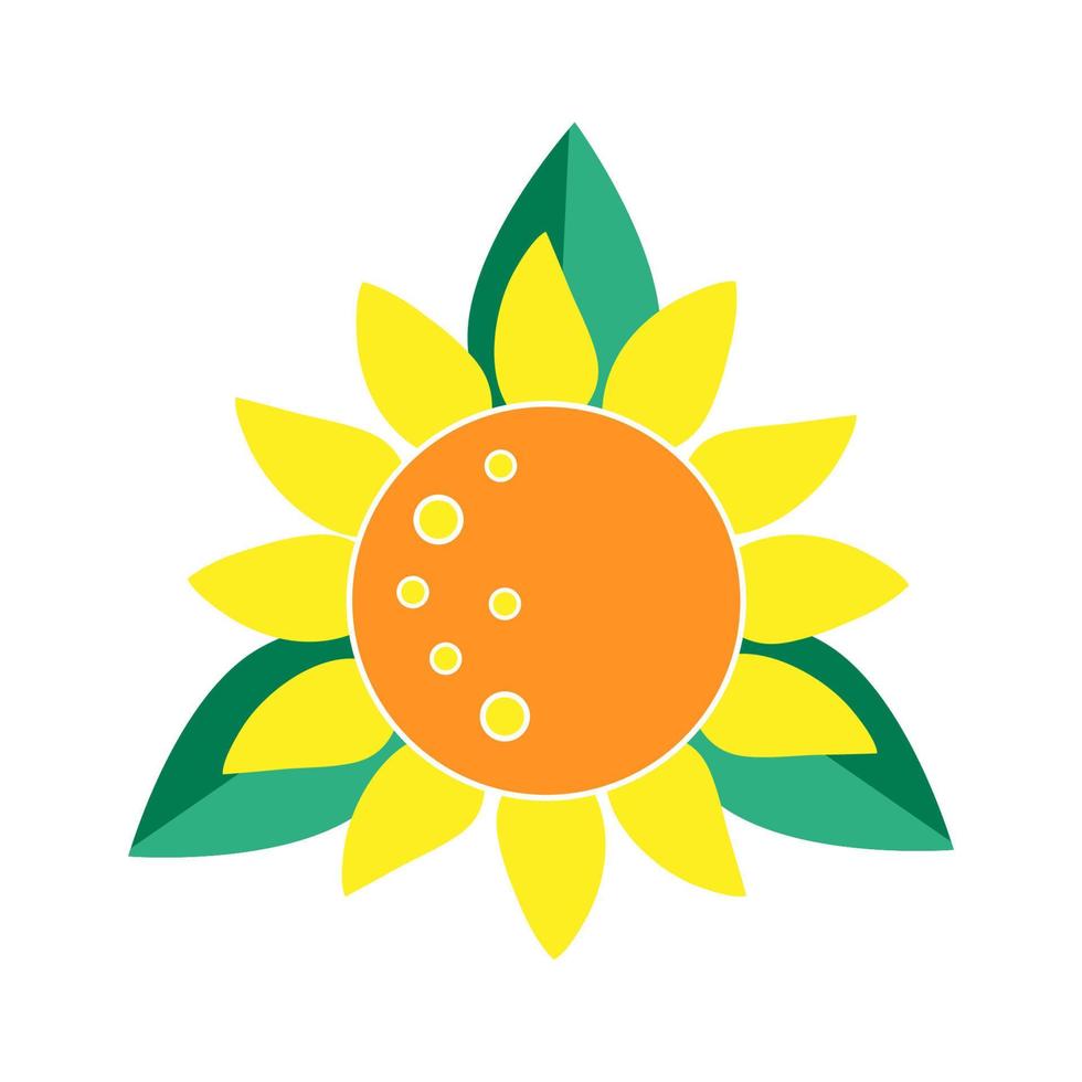 Sunflower vector illustration. Summer flower yellow color