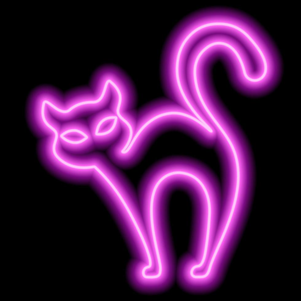 Neon pink outline of a cat on a black background. Witch cat, halloween vector