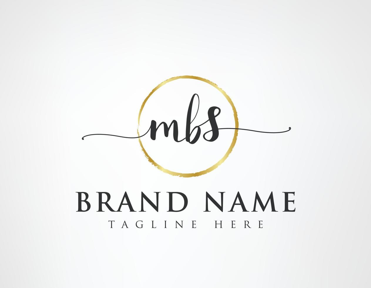 M B S Initial luxury Elegant Logo Template vector