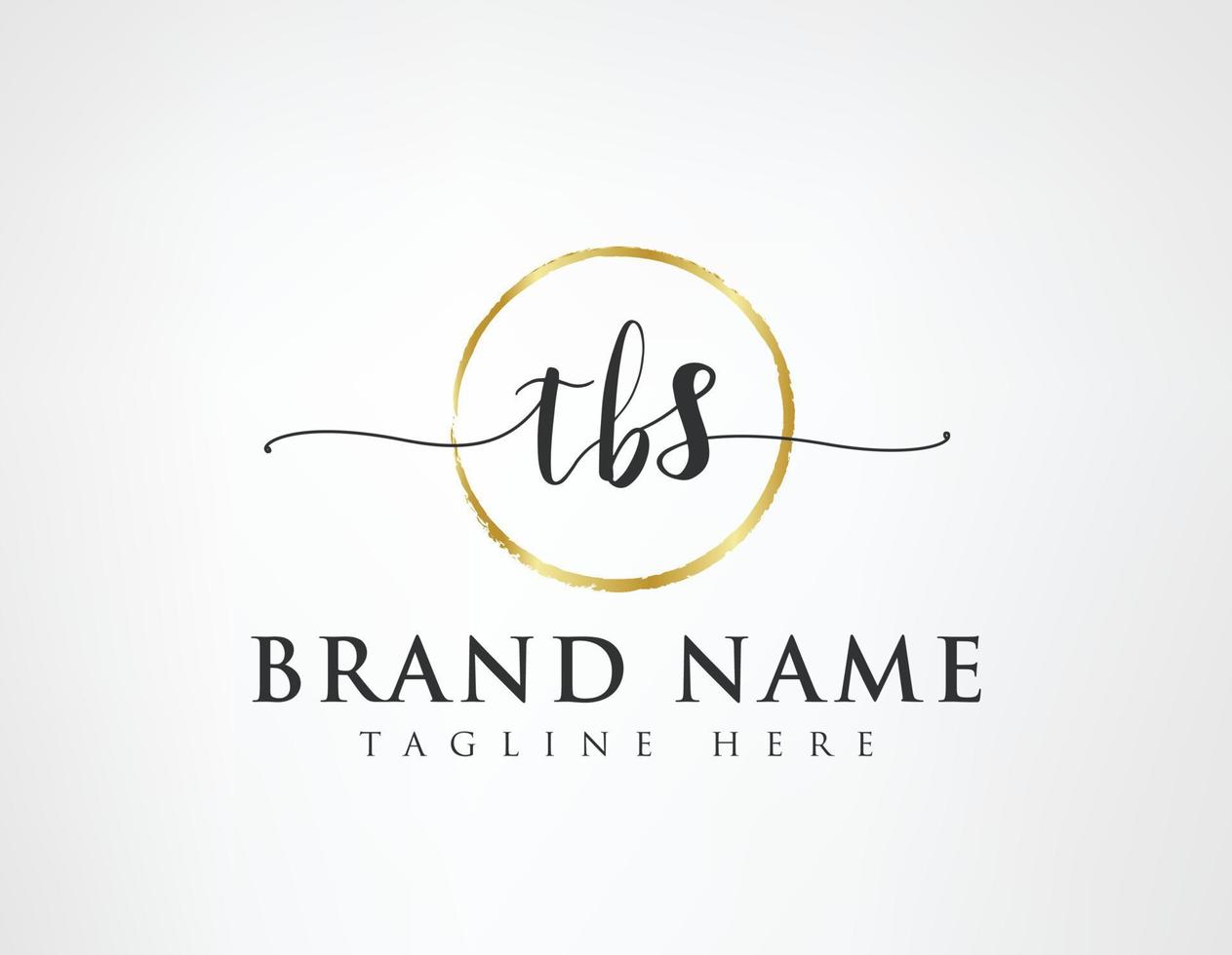 T B S Initial luxury Elegant Logo Template vector