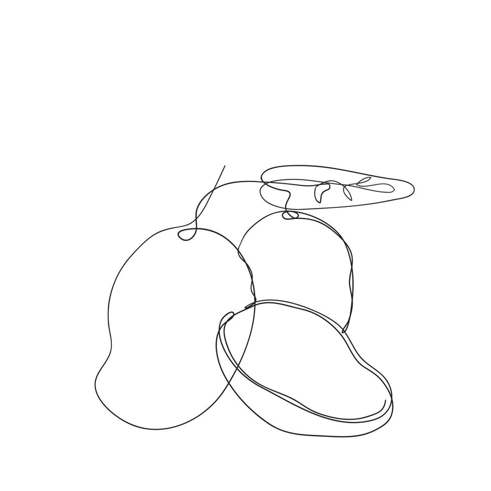 continuous line drawing mango fruit illustration vector