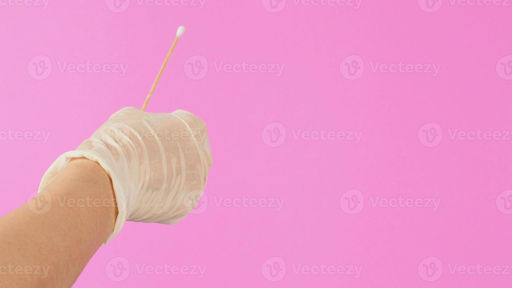 Cotton stick for swab test in hand with white medical gloves or latex glove on pink background. photo