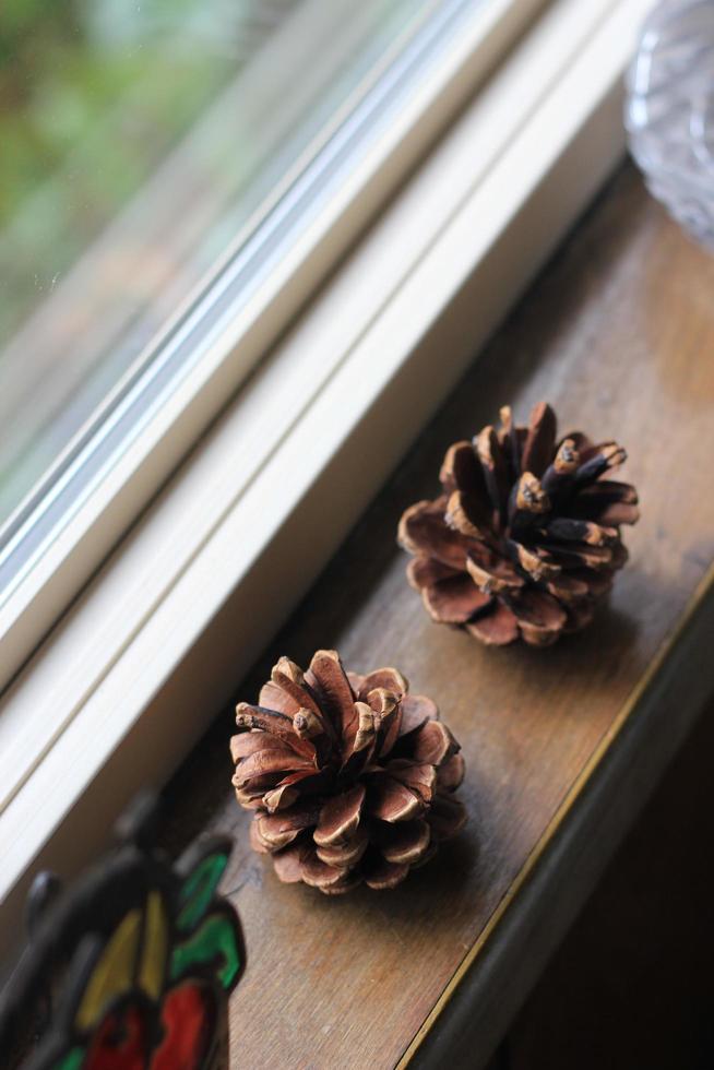 Two heels were placed by the window where the light shone in. photo