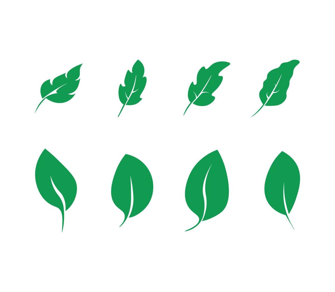 Collection of Green Leaves vector