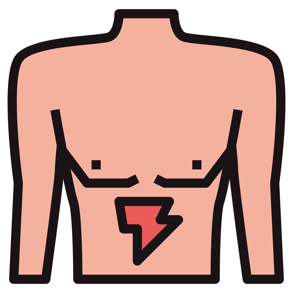 stomach clip art icon vector