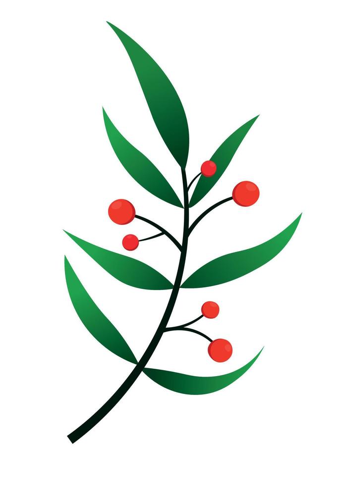 Illustration of Christmas Branch with Berries. Christmas Plant Decoration vector