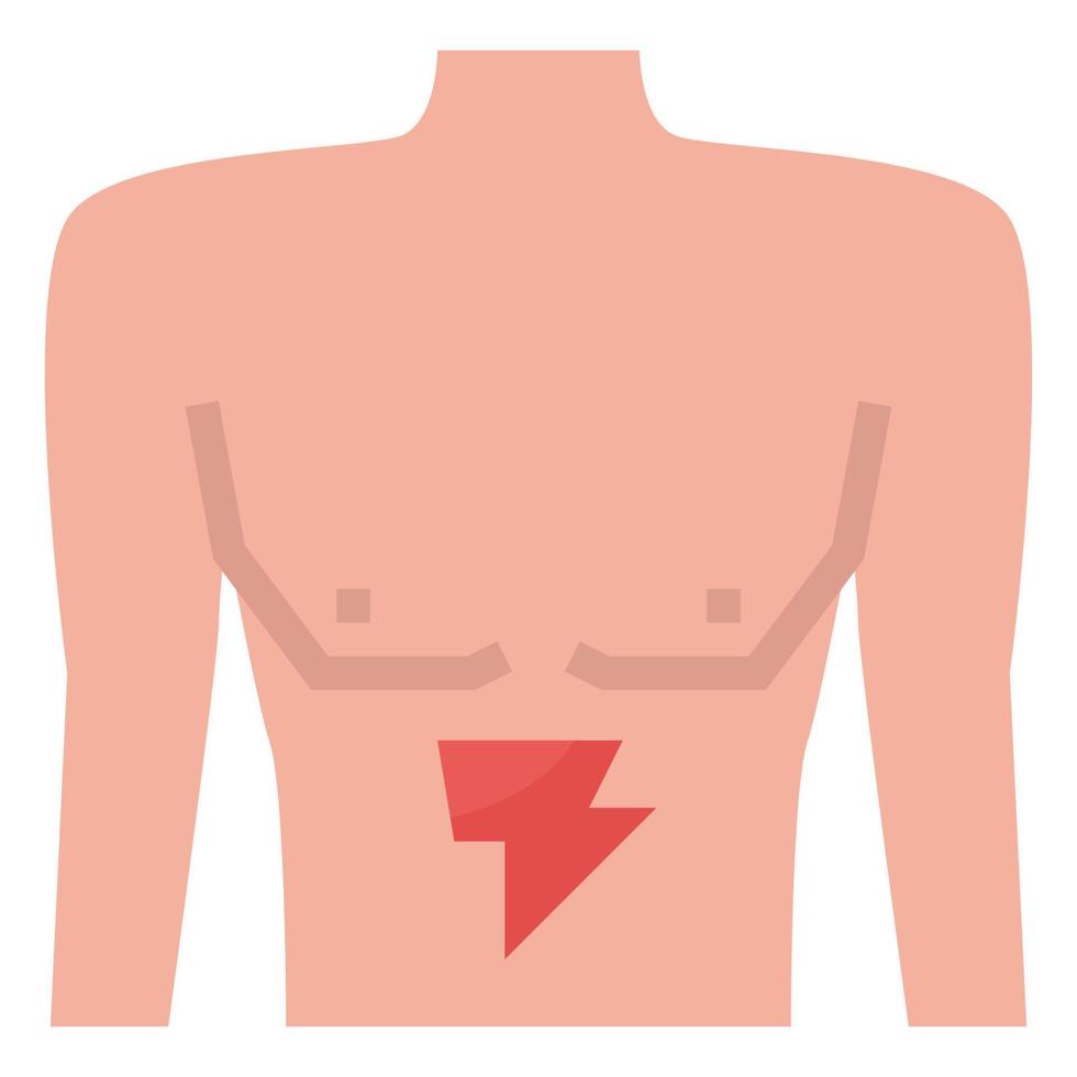 stomach clip art icon vector