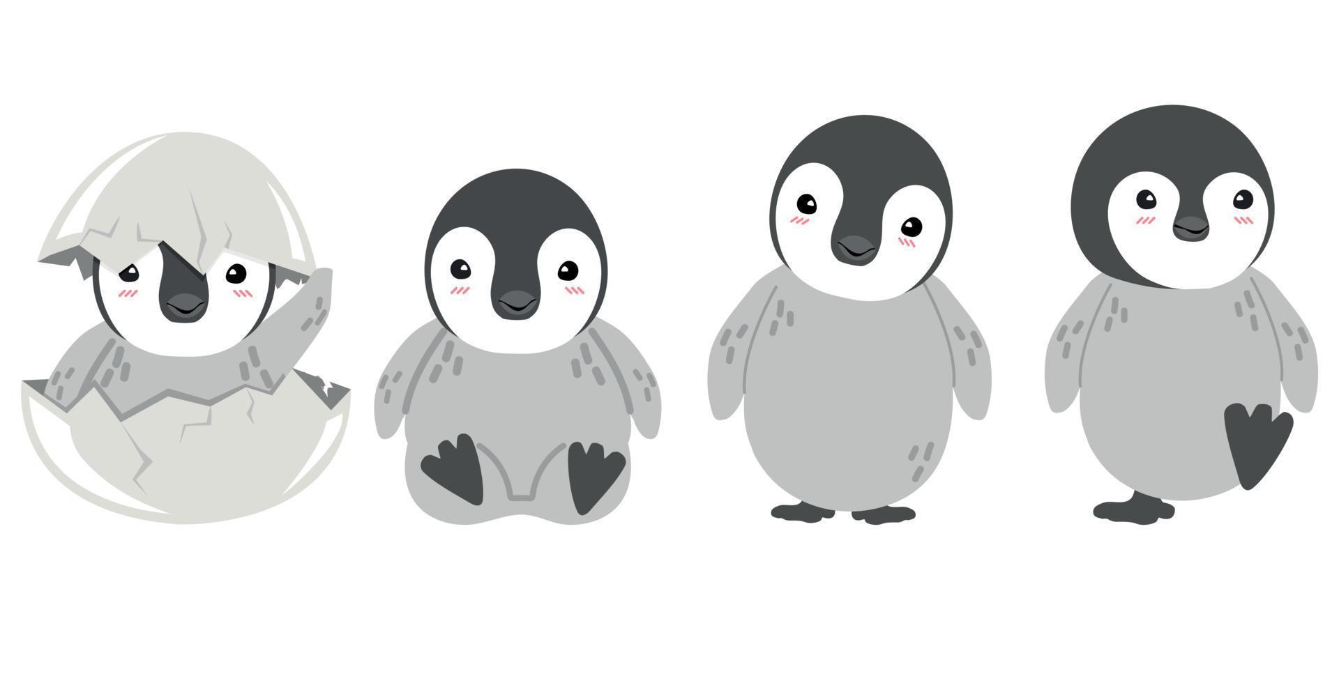 set of chic imperial penguin vector