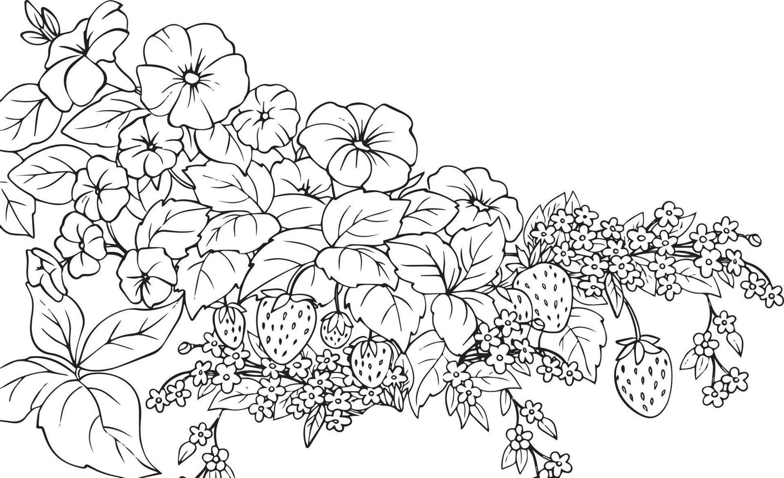 Strawberry flowers black and white drawing. For illustrations and coloring books vector