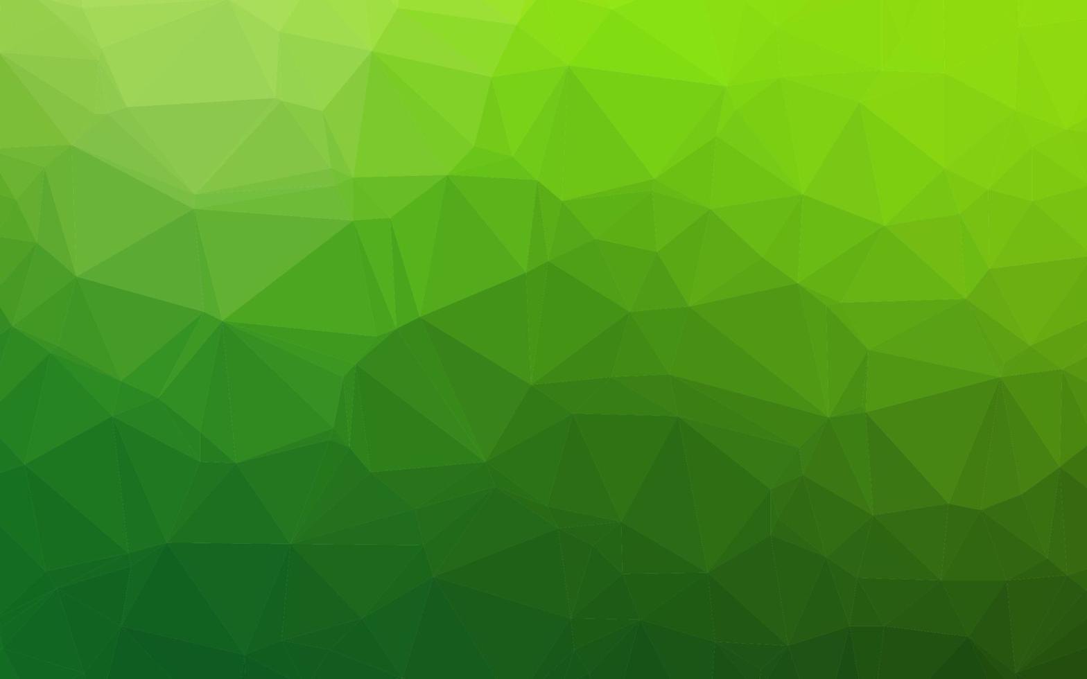 Light Green vector polygon abstract layout.